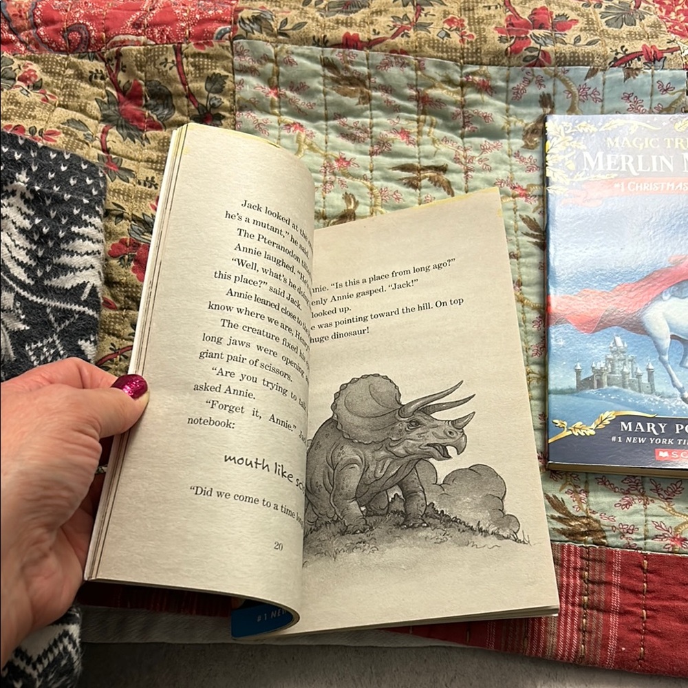 Magic Tree House Book Set - Picture 3 of 10